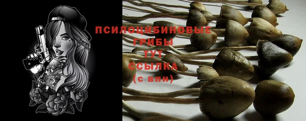 спиды Армянск