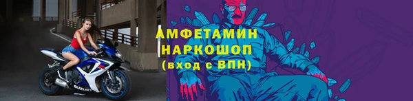 сатива Покачи