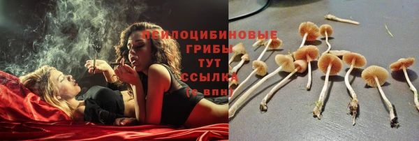 Альфа ПВП Покровск