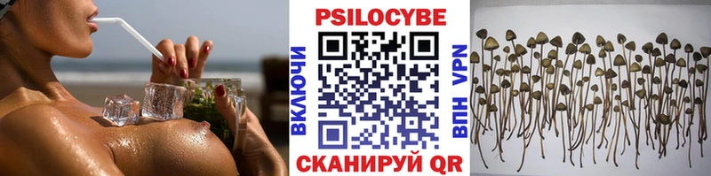 Галлюциногенные грибы MAGIC MUSHROOMS Унеча