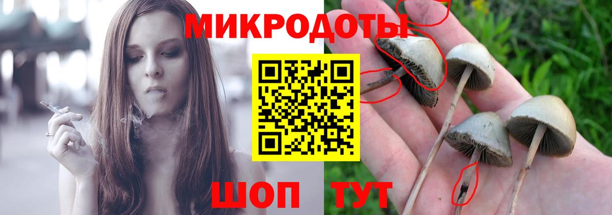 Галлюциногенные грибы Cubensis  Вход с VPN  Унеча 